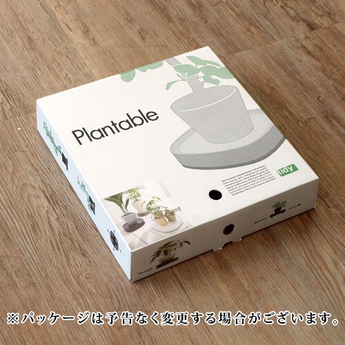 �ƥ��ǥ� �ץ�󥿥֥� tidy Plantable