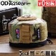 �Хꥹ�ƥ����� ���������� 250 BALLISTICS GUS CASE 250 [BAA-1804]