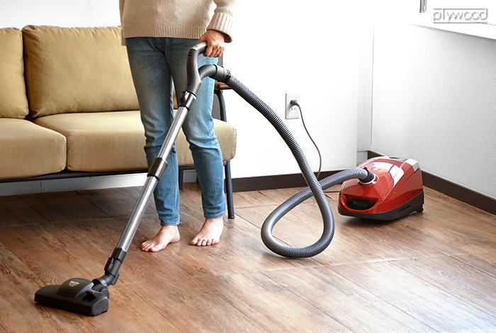 ߡ ѥ C2 åȡɥå SDBO 4 miele Compact C2 Cat&Dog