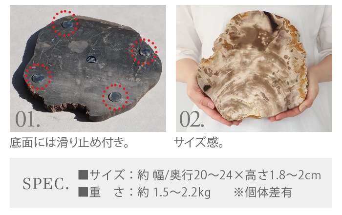 ���ޥ֥� ���å� �ץ졼�� amabro WOOD PLATE20