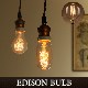  Х EDISON BULB [Globe"L"]