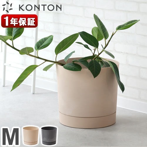 KONTON PROSPER �ץ����ѡ� �ȥ�����B M������