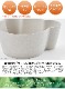 ���եȥܥå��� �٥� �ߥ� tak. BIO KIDS DISH gift box bear mini JTN-2011