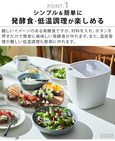 �ӥ���ȥ˥� ȯ�ڥ᡼���� Vitantonio VFM-10-W