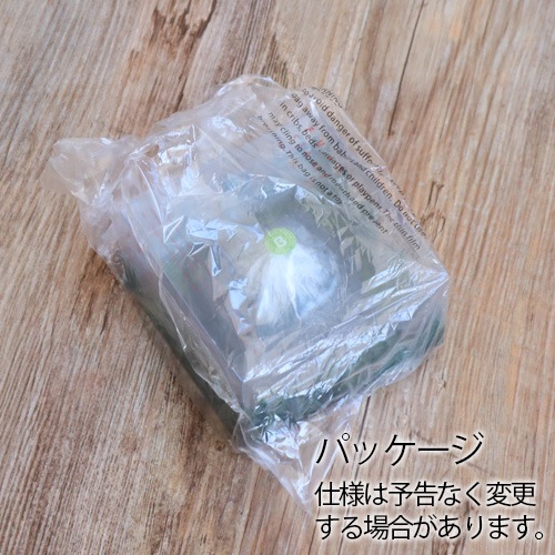 �ޥ��ͥå� �ٻ� ������ץѥå� magnet FUJI STAMP PAD