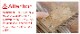 BAREBONES �٥��ܡ��� ��å��饤�� ���åɥե�����ǥ��󥰥�����