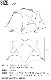 �ߥ˥ޥ����� �����륿������ MINIMAL WORKS SHELTER G