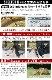 �ߥ˥ޥ����� �����륿������ MINIMAL WORKS SHELTER G