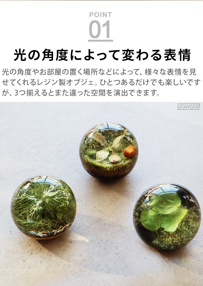 ���ޥ֥� ���С��꡼�եܡ��� amabro Ever Leaf Ball