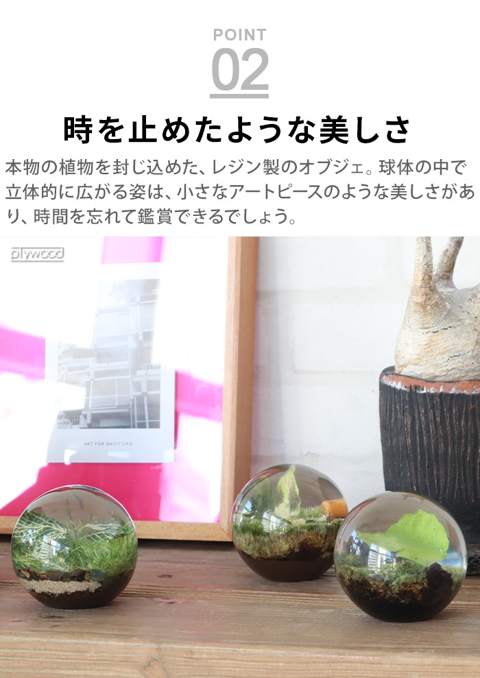 ���ޥ֥� ���С��꡼�եܡ��� amabro Ever Leaf Ball