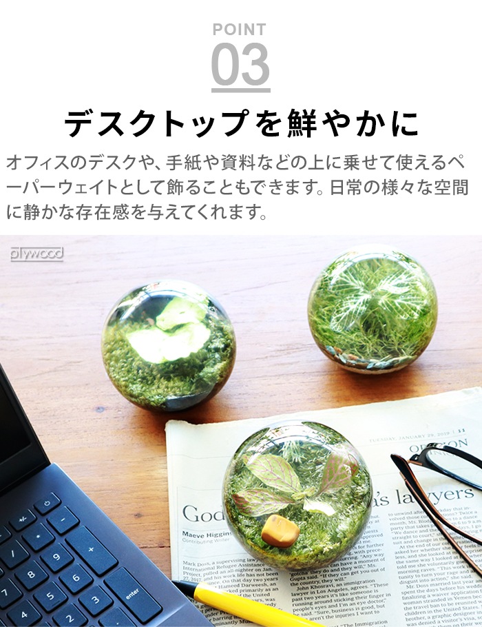 ���ޥ֥� ���С��꡼�եܡ��� amabro Ever Leaf Ball