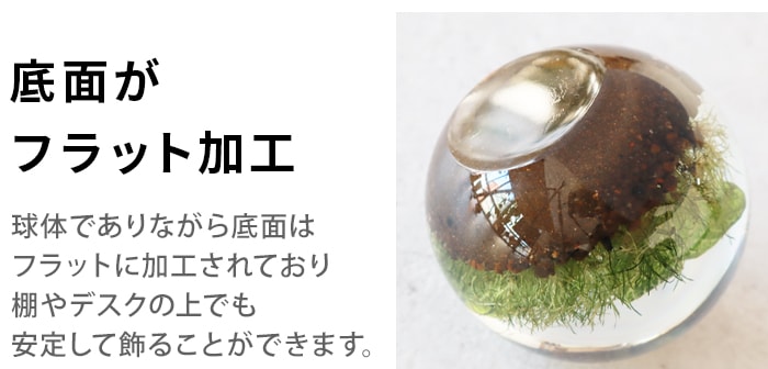 ���ޥ֥� ���С��꡼�եܡ��� amabro Ever Leaf Ball