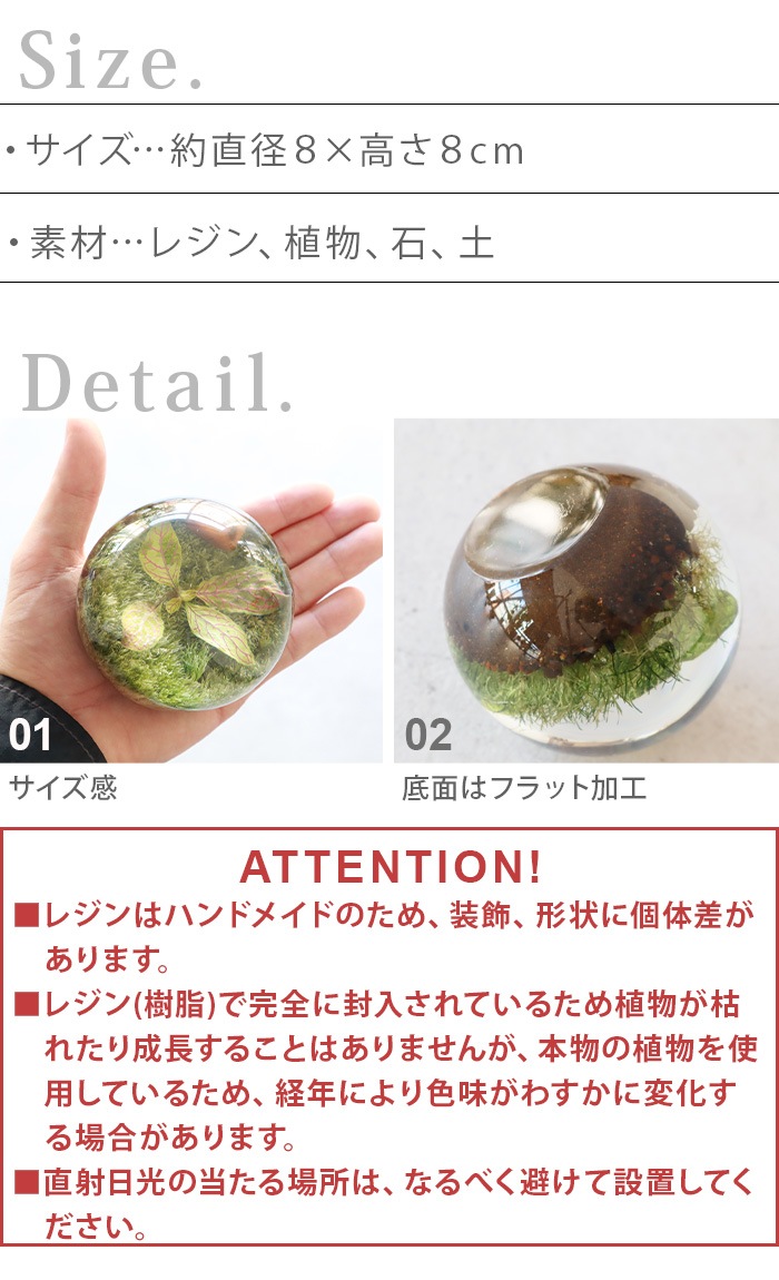 ���ޥ֥� ���С��꡼�եܡ��� amabro Ever Leaf Ball