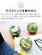 ���ޥ֥� ���С��꡼�եܡ��� amabro Ever Leaf Ball