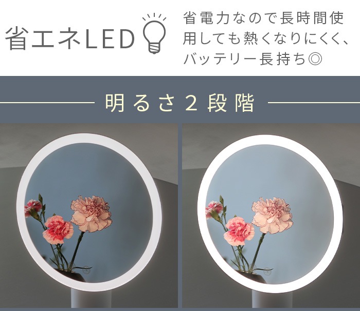 ࡼ饤ȥߥ顼 MOONLIGHT MIRROR