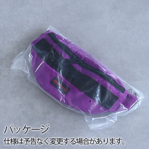 �֥꡼�ե��� �ߥ� �ݥå� �������� �ѥå��֥� BRIEFING MINI POD SL PACKABLE