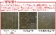 �ߥ˥ޥ����� ������ MINIMAL WORKS AGORA [MGSH-AG000]