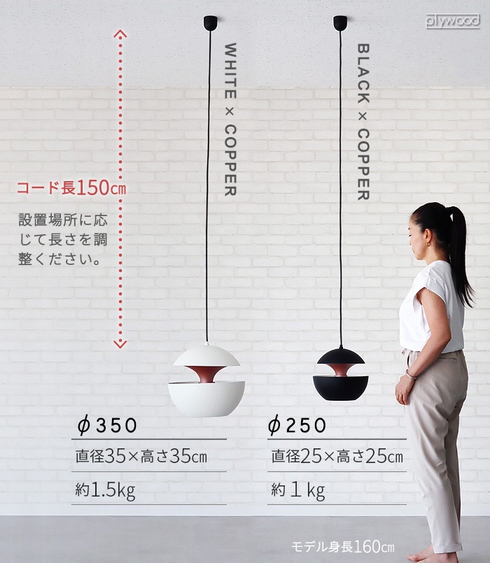 DCW editions Here comes the sun 350 ǥ֥塼ǥ ҥॺ 35cm