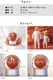 �ҥ塼�ޥ󥴡��ȥ��� �ޡ��� ������ �������� Humango Toys MARS DUST GLOBE