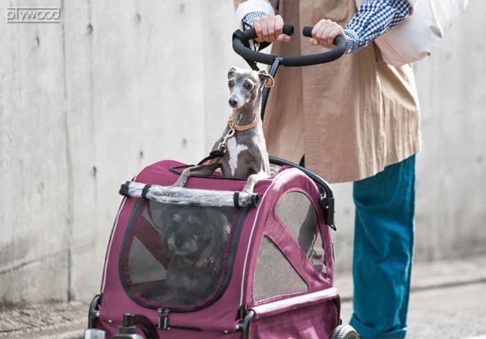 Х ȥ󥯥 ڥå ɥå AIRBUGGY CUBE TWINKLE