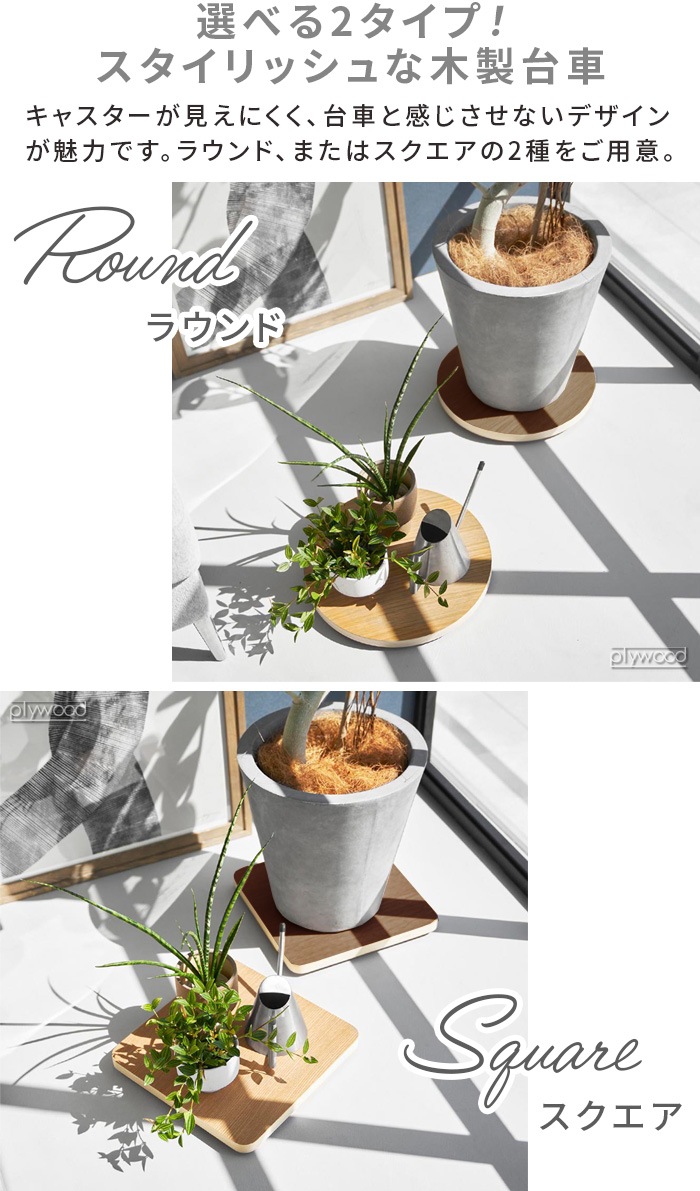 ¶  RIN ƥꥢ [饦 / ] 10062 10063 10064 10065