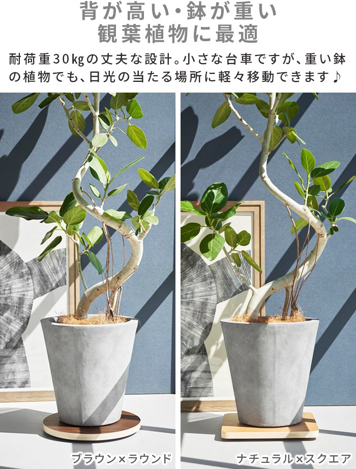 ¶  RIN ƥꥢ [饦 / ] 10062 10063 10064 10065