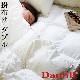 ե ե١  mono [ ݤ / ֥ ] Danfill Trevira Fill Fibelle JQA32
