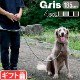   ꡼ gris THE LEASH [185cm DG0022]