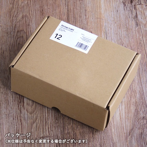 ���ȥ�󥰥��饤�� [12�����å�/�ŵ�ʤ�] Strings Light 12 socket