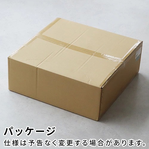 �������ȥ�����å��ȡ����硼 �Х�ॷ����󥰥��� WEST VILLAGE TOKYO Ballm ceiling lamp �ŵ��դ�