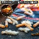 PROCAMPTEK FIRE PLUGS 50pc �ץ������ץƥå� �ե����䡼�ץ饰 50������