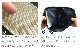 ��50��OFF�� ����ɥʥå� �������å� ������å� ��NUT ETIQUETTE WALLET
