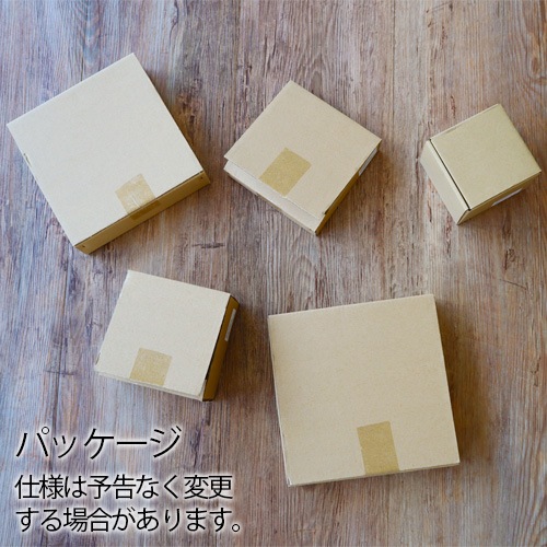 TRIBECA BLACK AND BLUE 160 PLATE �ȥ饤�٥å� �֥�å� ����� �֥롼 16cm �ץ졼��