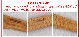 ���勵�˥ץ�ॹ �����ץե����� �ץ�åץ��å� IWATANI PRIMUS CAMP FIRE PREP SET P-C738007