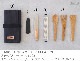 ���勵�˥ץ�ॹ �����ץե����� �ץ�åץ��å� IWATANI PRIMUS CAMP FIRE PREP SET P-C738007