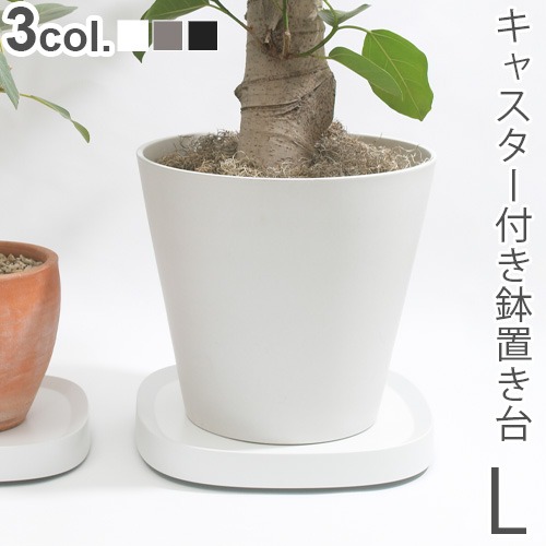 �ƥ��ǥ� �ץ�󥿥֥� L tidy Plantable L