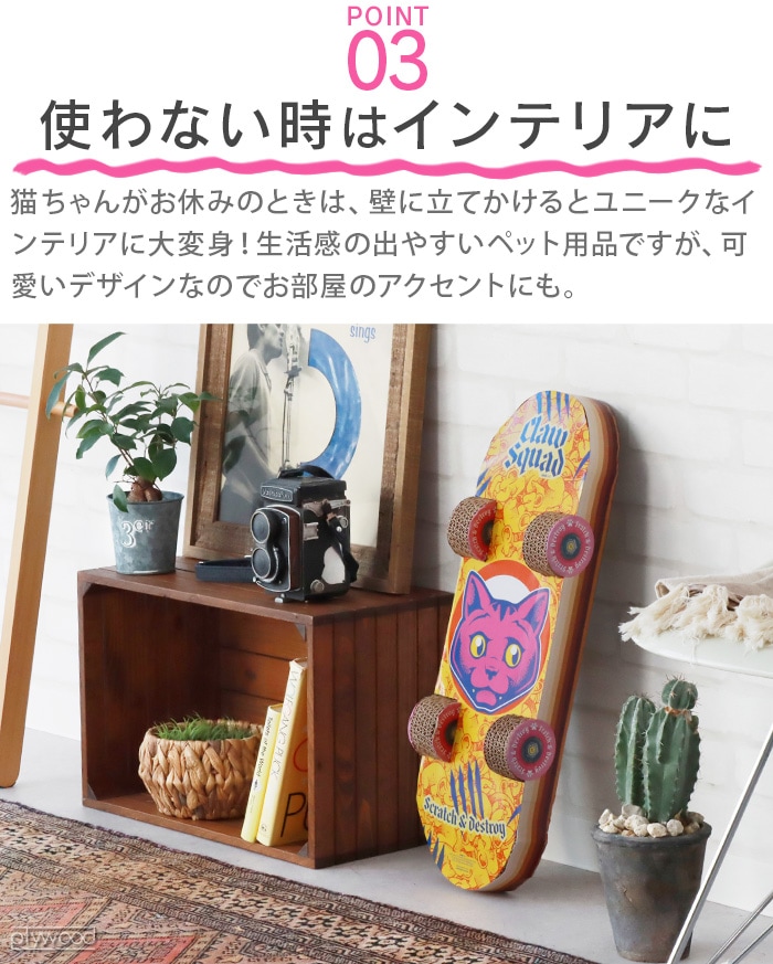 å桼 å å ȥܡ suck uk Cat Scratch Skateboard