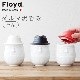 ե ݤ [1PC] Floyd Daruma Vessel