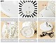 �ץ饹�ޥ��ʥ����� ����ѥ��ȥե��� ��0 Compact Fan [XQS-A220]