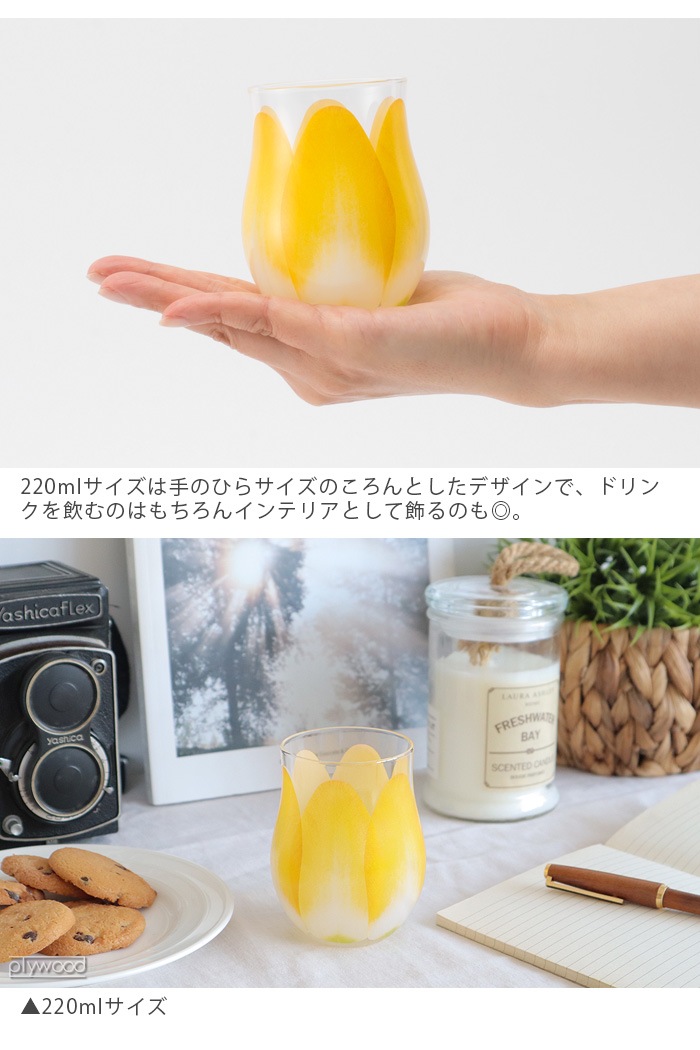 Floyd TULIP GLASS 1pc �ե����� ���塼��å� ���饹 ��������