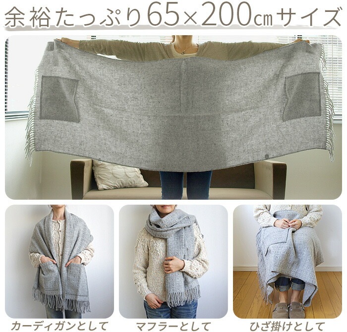 åѥ  ȡ 쥯 KLIPPAN