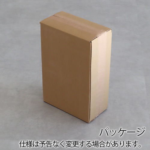 ������ ����� �ޥ��� �����륻�� �Х��ϥ��� �ǥå��� CHISEL&MOUSE CHISELCENTRE BAUHAUS DESSAU