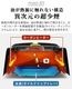GLAMP. Ķ���쥰��� ������ [DX] SG03