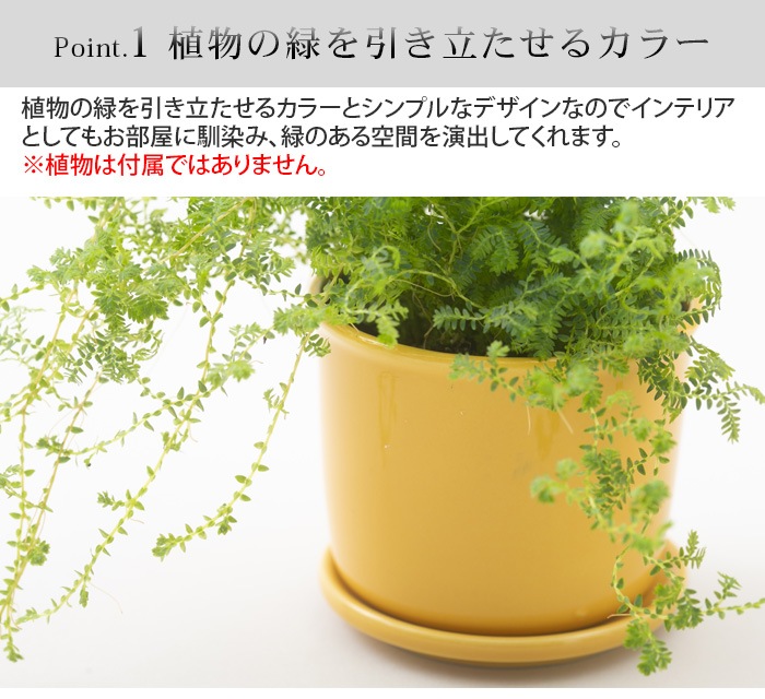 �ޥ� �ݥå� MUG POT 100percent �ޡ��֥�