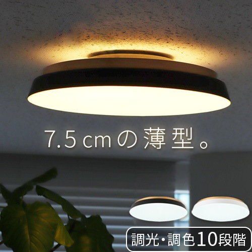 TAIRA ������󥰥饤�� ACE-175BK/WH