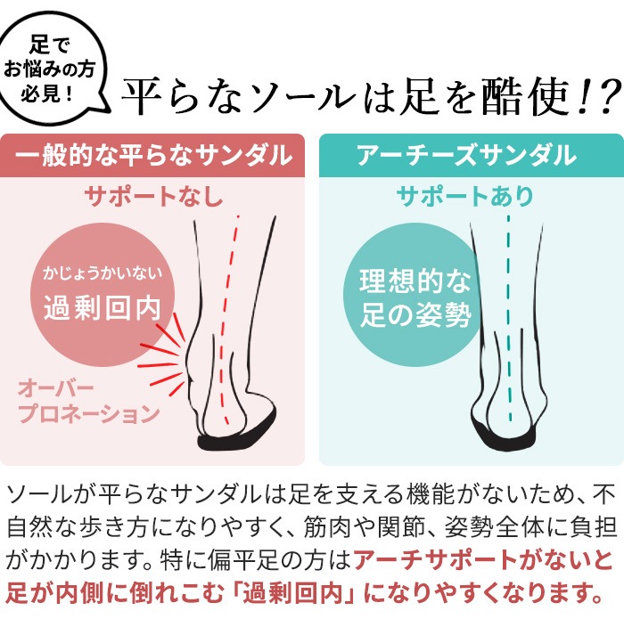 ������ ARCHIES ���������� ���������ݡ��ȥ��饤�ɥ������