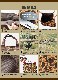 �Хꥹ�ƥ����� BALLISTICS USMC XL TOTE