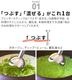 BRUNO Stick Blender ֥롼 ƥå֥2 BOE141 