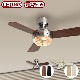 �᡼���� ��⥳�� ������󥰥ե���饤�� MEHVE Ceiling fan light �ŵ��դ�