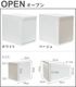 �ȥ�å���ܥå��� �ե��� ���ѥ졼����� trash box for separation 25L